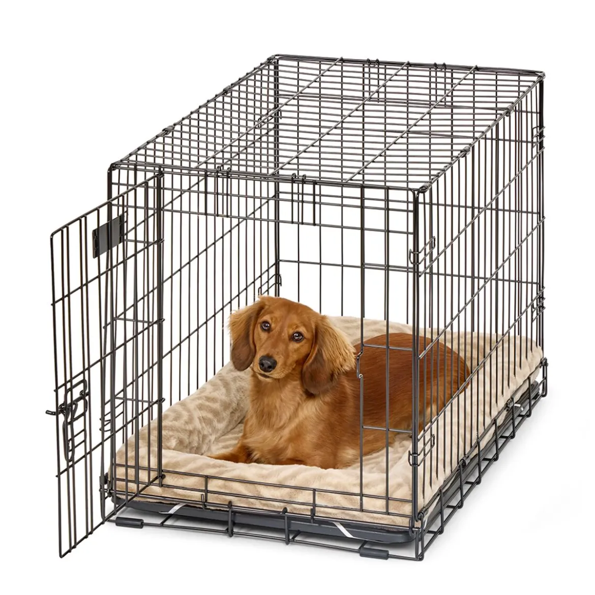 Peti Midwest QuietTime Wave, ruskea
