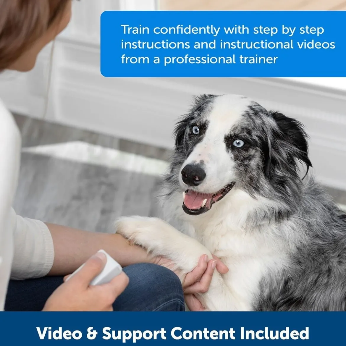 PetSafe® Teach & Treat Reward Trainer