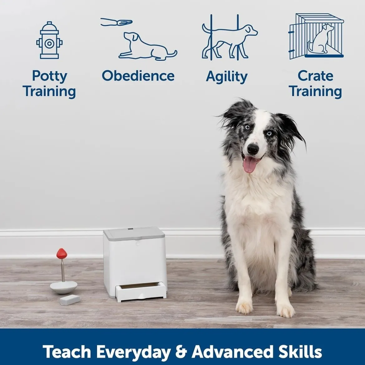 PetSafe® Teach & Treat Reward Trainer