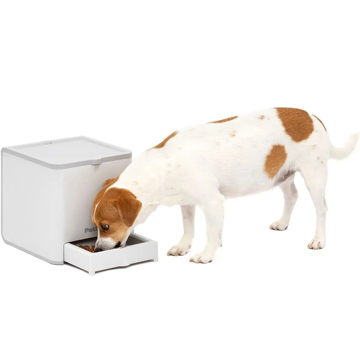 PetSafe® Teach & Treat Reward Trainer