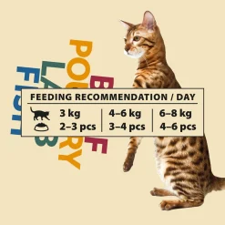 PrimaCat Classic valuepack 48x85g