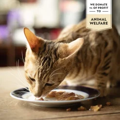 PrimaCat Classic valuepack 48x85g
