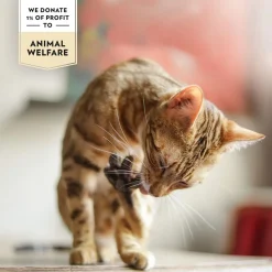 PrimaCat Kanaa liemessä