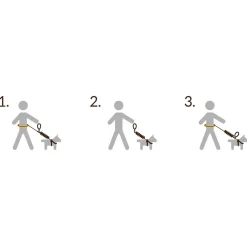 Pro Dog Handsfree setti