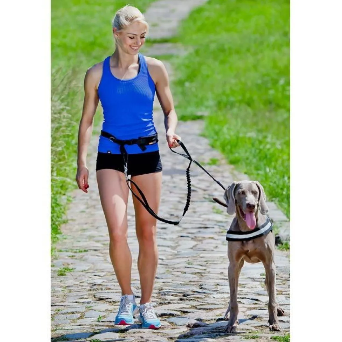 Pro Dog Handsfree setti