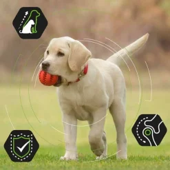 Pro Plan Large Puppy Athletic