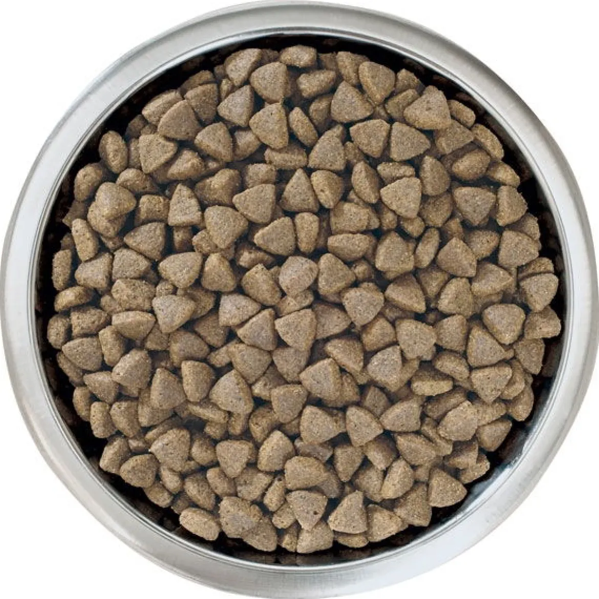 Pro Plan Large Puppy Athletic