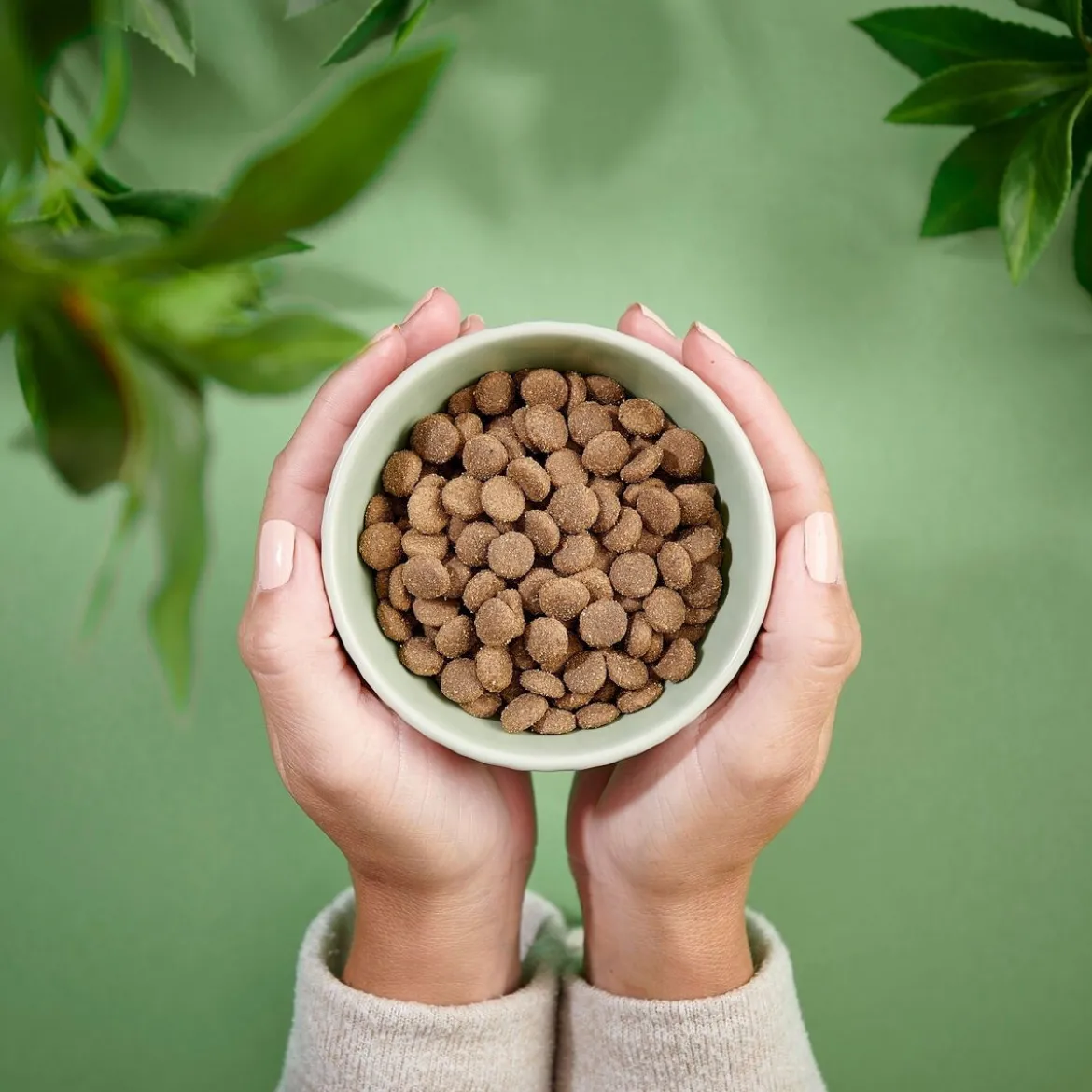 Purenatural Cat Adult Sensitive Pork