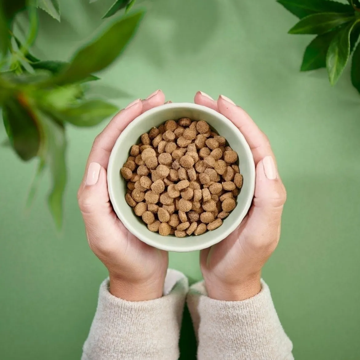 Purenatural Cat Grain Free Sterilised Chicken