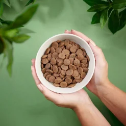 Purenatural Dog Adult Grain Free Pork