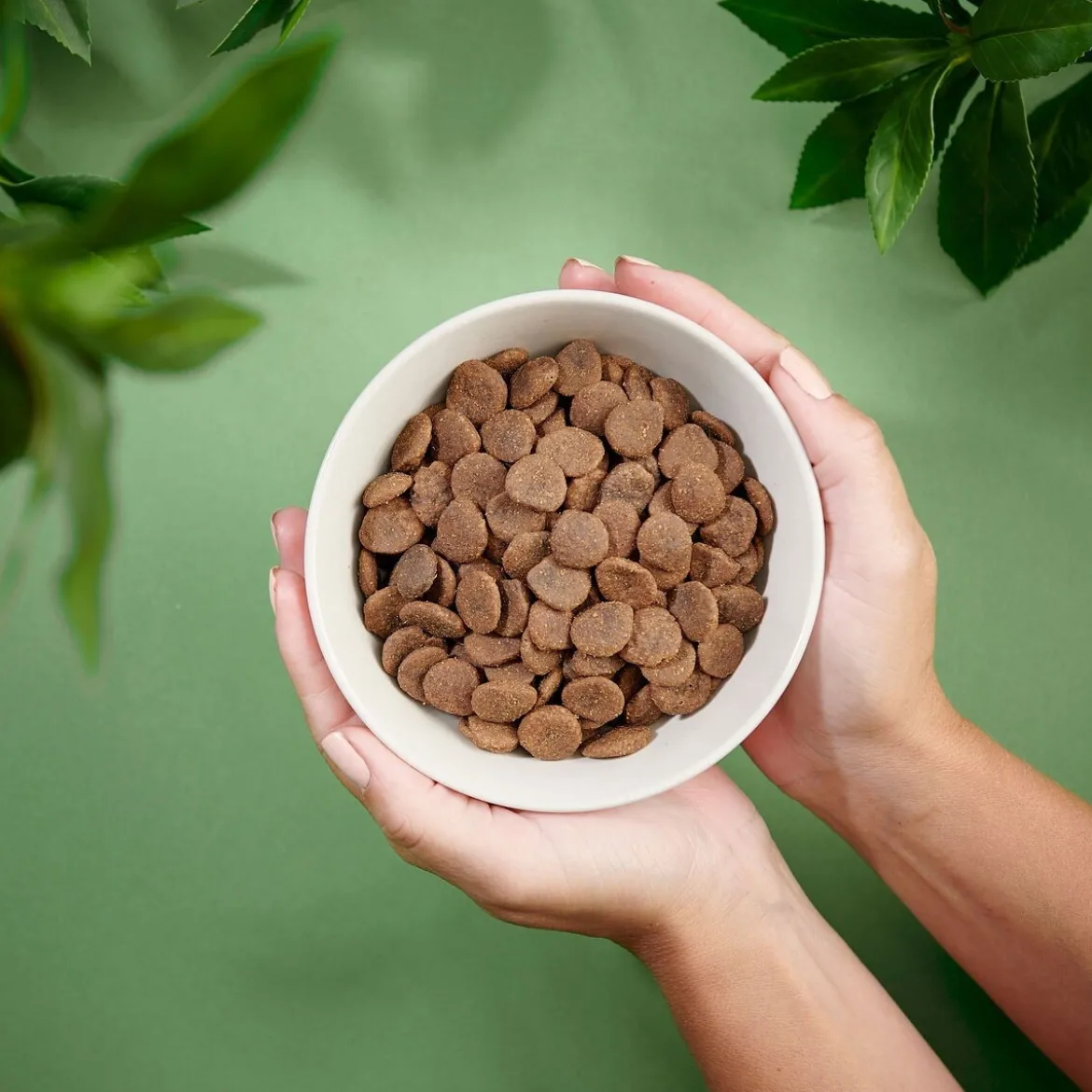 Purenatural Dog Adult Grain Free Pork