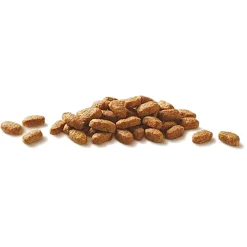 Purina ONE Cat Adult lohi