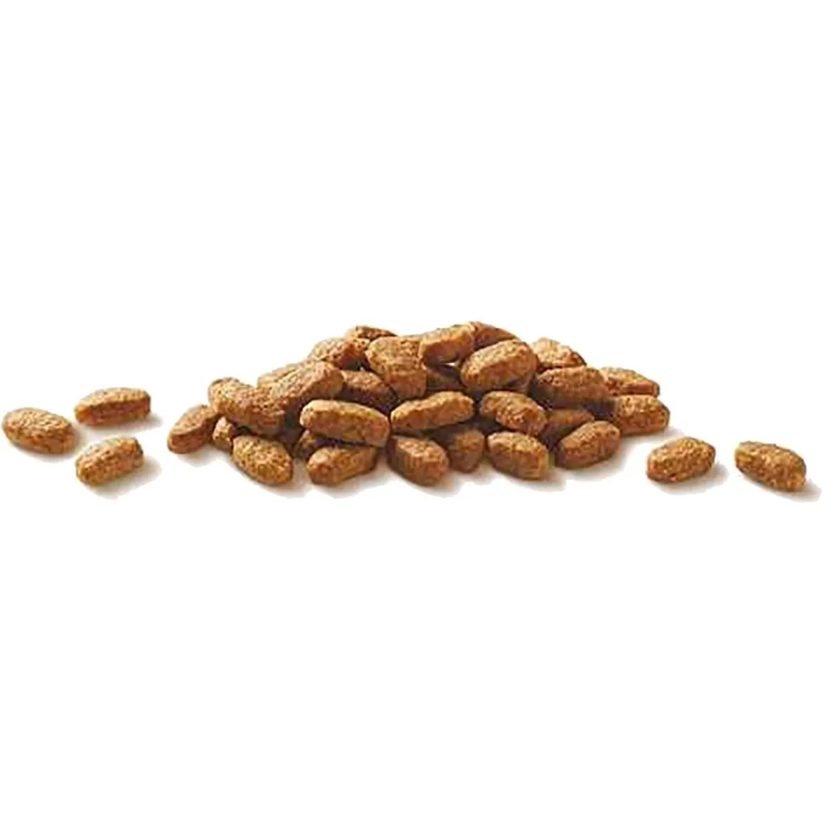 Purina ONE Cat Adult lohi