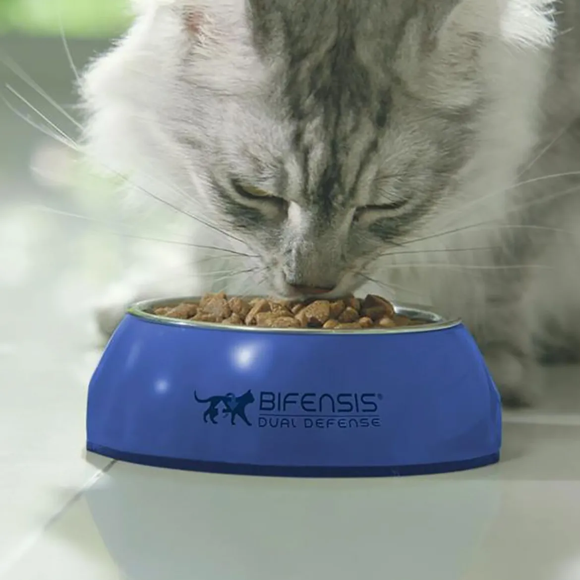 Purina ONE Cat Adult lohi