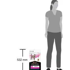 Purina Pro Plan Veterinary Diets Cat Urinary Ocean fish
