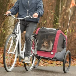 Pyörän peräkärry Trixie