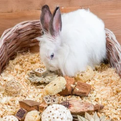 Quapas! Puuhalelulahjalaatikko, tähdet
