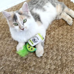 Quirky Kitty Hard Seltzpurr