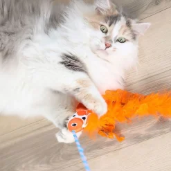 Quirky Kitty kissanonki koikarppi