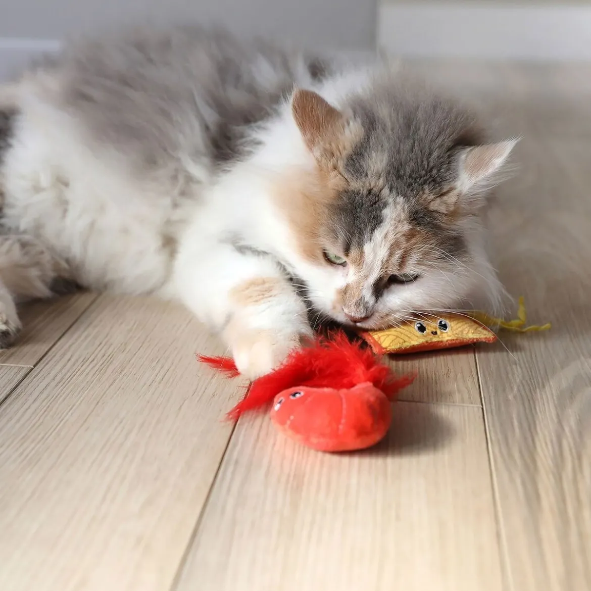 Quirky Kitty Ramen 2 kpl