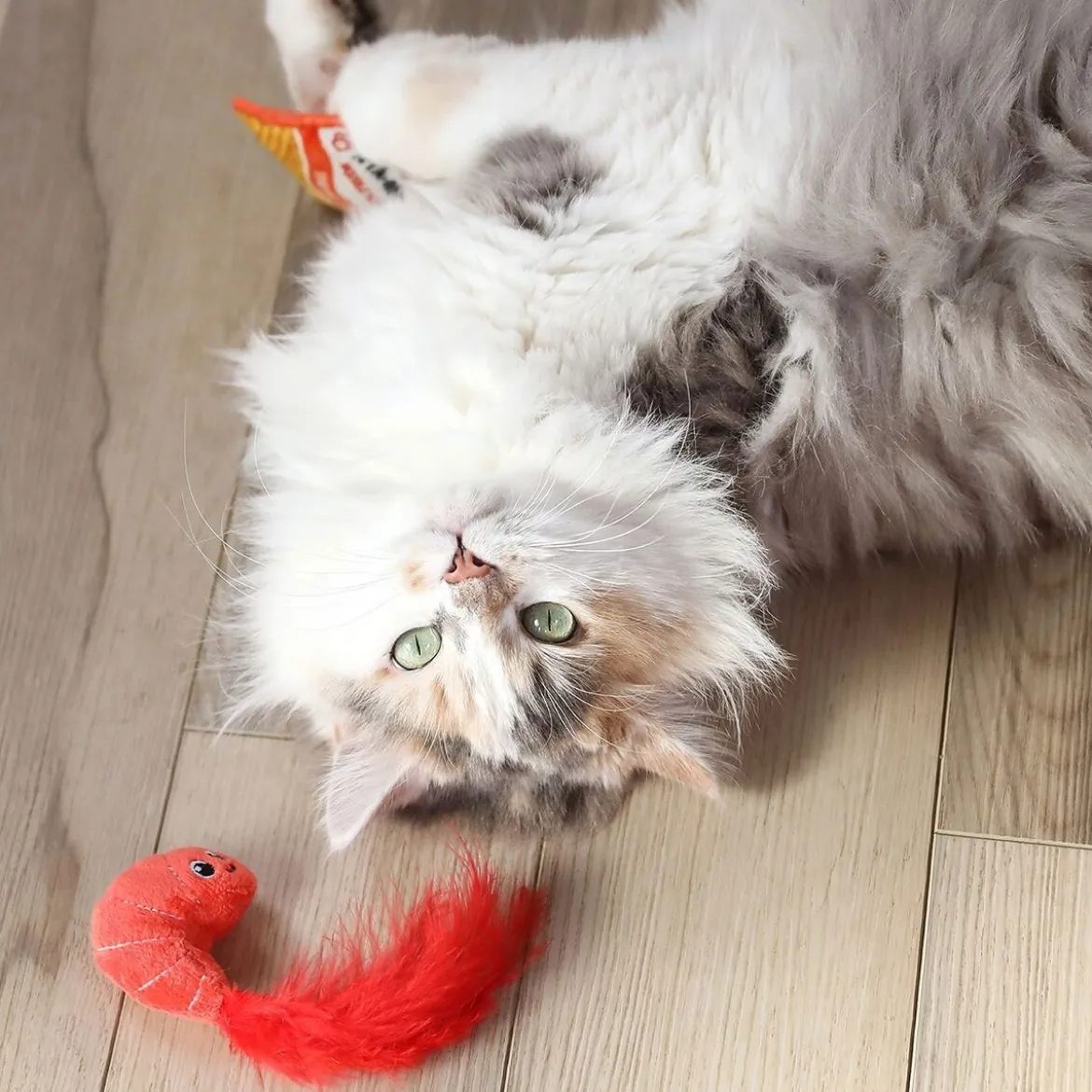 Quirky Kitty Ramen 2 kpl