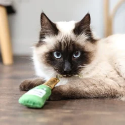 Quirky Kitty Viini & Juusto Kissanminttulelut