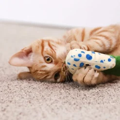 Quirky Kitty Viini & Juusto Kissanminttulelut