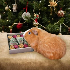 Rosewood Festive Cookies Forage Tray 170g