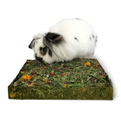 Rosewood Nibble n Dig Herkkuniitty