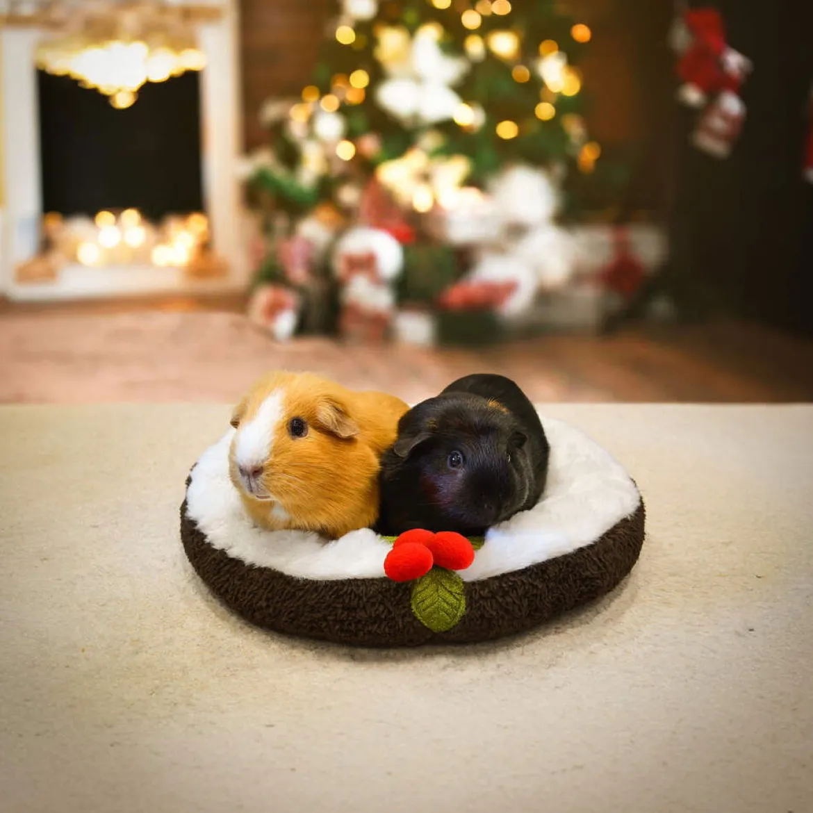 Rosewood Pudding Snuggle pieneläimen peti