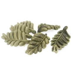 Rosewood Veggie Burst Nibble Leaves