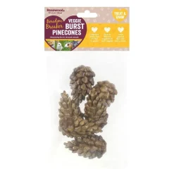 Rosewood Veggied burst pinecones 6 kpl