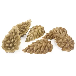 Rosewood Veggied burst pinecones 6 kpl