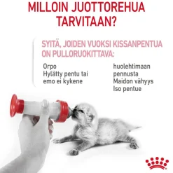 Royal Canin Babycat Milk, 300 g