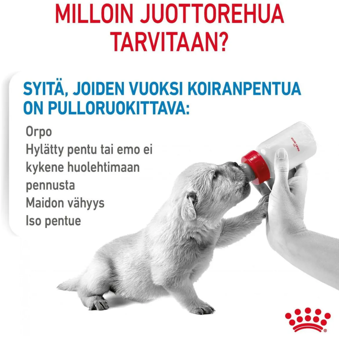 Royal Canin Babydog Milk