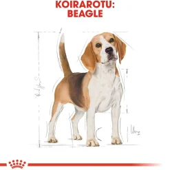 Royal Canin Beagle Adult 12 kg