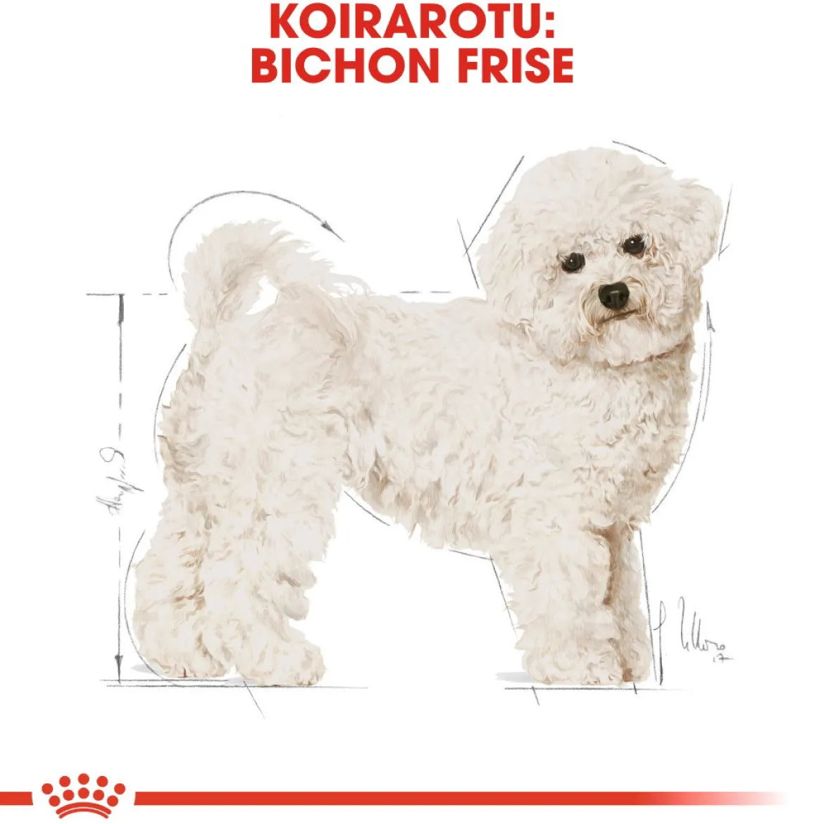 Royal Canin Bichon Frise Adult 1,5 kg
