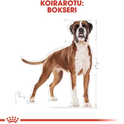 Royal Canin Boxer Adult 12 kg