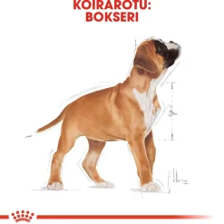 Royal Canin Boxer Puppy 12 kg