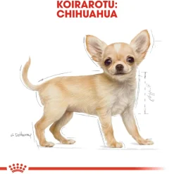 Royal Canin Breed Chihuahua Puppy
