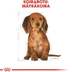 Royal Canin Breed Dachshund Puppy 1,5 kg
