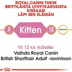 Royal Canin British Shorthair Kitten, 2 kg