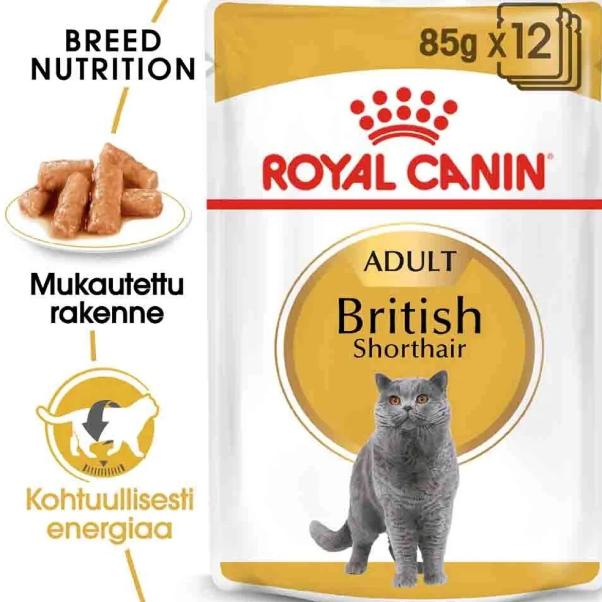 Royal Canin British Shorthair Wet 12 x 85g