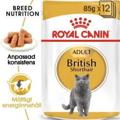 Royal Canin British Shorthair 85g, 48-pack