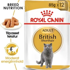 Royal Canin British Shorthair 85g, 48-pack