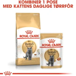 Royal Canin British Shorthair 85g, 48-pack