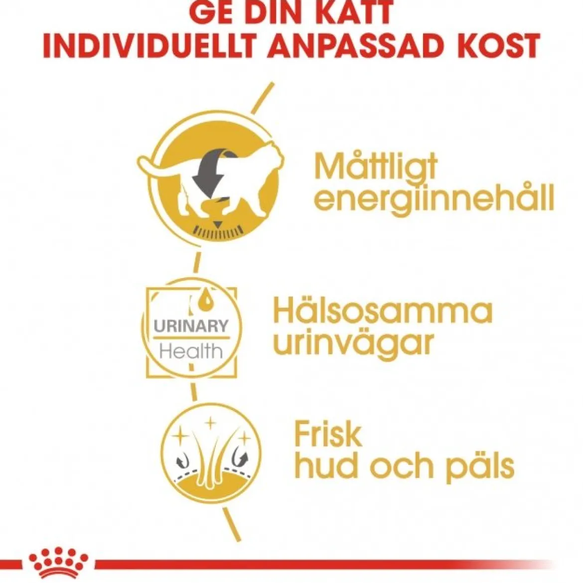 Royal Canin British Shorthair 85g, 48-pack