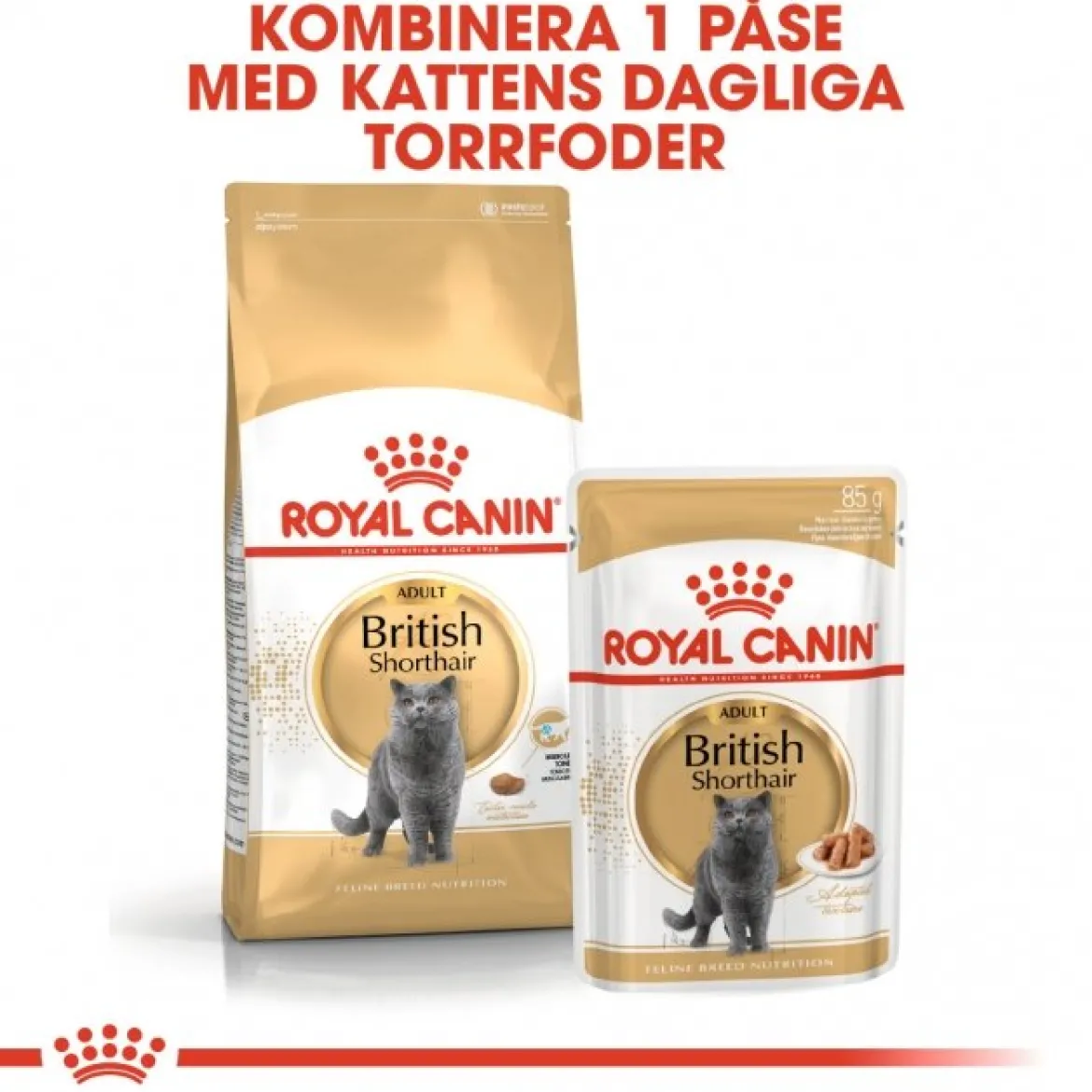Royal Canin British Shorthair 85g, 48-pack