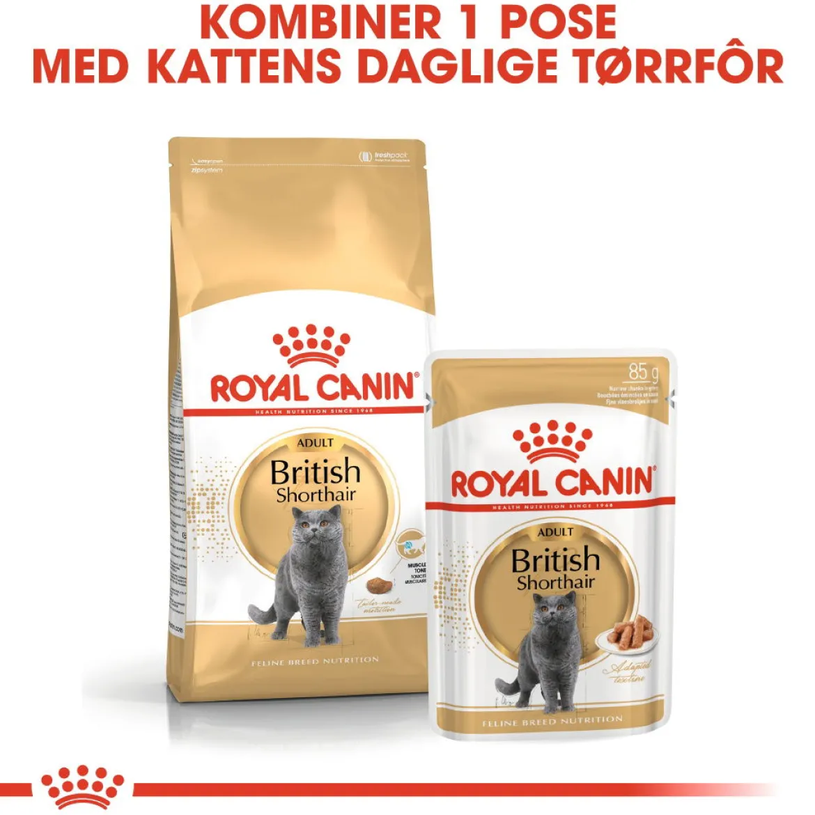 Royal Canin British Shorthair 85g, 48-pack