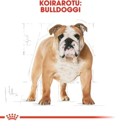 Royal Canin Bulldog Adult 12 kg